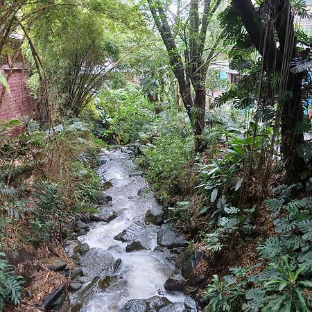 Yolo Hostel Medellín Exteriör bild